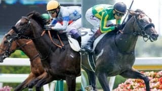 【次走】豪G1馬の仔フミサウンド、エテルナミノルの半弟サトノヴィレは秋の東京開催へ