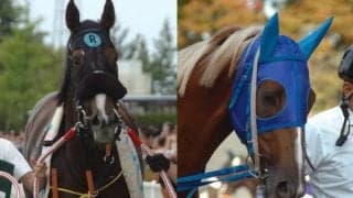 【POG】菊花賞馬トーホウジャッカルの姪トーホウビエント 高橋亮調教師「早ければ小倉でデビュー予定」