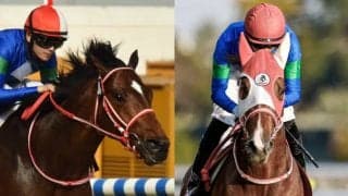 英仏G1出走のバスラットレオン、キングエルメスが19日午前に帰国