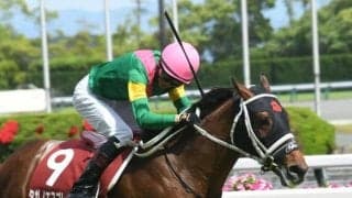 【JRA】タガノエスプレッソが登録抹消、タガノファームで種牡馬に