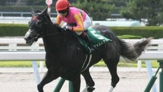 【北九州記念予想】前走圧勝の反動も!? 大波乱を予感させるフルゲートのハンデ戦