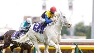 【札幌記念前日オッズ】ソダシが2.6倍で1番人気、ジャックドールが続く