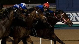 【AI予想・札幌記念】世界で見せた逃亡劇が日本で再び!? 好枠GETで新たなタイトルを