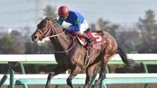 【札幌記念予想】豪華メンバーが集まる札幌記念、実績馬の実力に期待