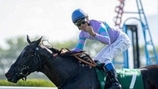 【北九州記念予想】サマースプリントシリーズ第4戦、波乱含みの傾向に終止符か？