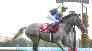 【札幌記念予想】10年連続で1番人気馬が連敗中？ 馬券圏内候補の筆頭条件を探しだせ！