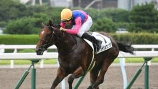 【小倉5R新馬戦結果】ダンカーク産駒メイショウヒュウガが抜け出してデビューV