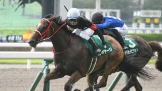 【北九州記念結果】16番人気ボンボヤージが鮮やかな変わり身を見せて快勝　3連単49万円の波乱に