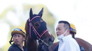 【クローバー賞】2年1ヶ月ぶり地方所属馬によるJRA勝利　ホッカイドウ競馬のジョリダムが制覇