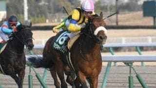 マジックキャッスルが競走馬登録を抹消、今後は繁殖馬に　昨年の愛知杯(GIII)制覇、2020年秋華賞2着などの実績