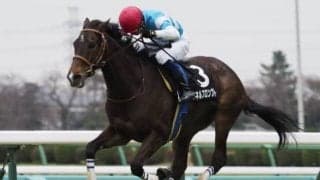 【小倉SJ】マイネルプロンプト、アサクサゲンキらが登録