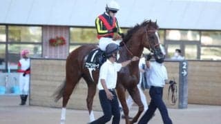 8月20日・21日の競走中止、除外、疾病の一覧 ナオミラフィネ落馬など/札幌・新潟・小倉