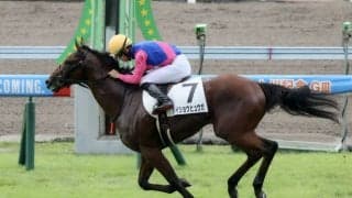 【新馬/小倉5R】メイショウヒュウガがデビューV