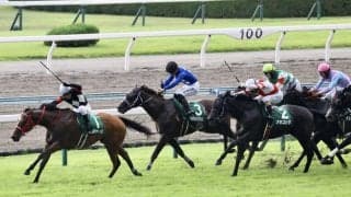 WIN5は9000万円超えの大波乱