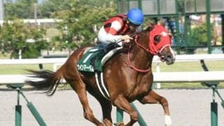 重賞は新潟2歳S、キーンランドCなど　WASJが3年ぶりに開催/今週の競馬界の見どころ