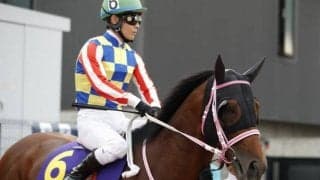 【佐賀・サマーチャンピオン枠順確定】シャマルは大外8枠12番、レディバグは4枠4番