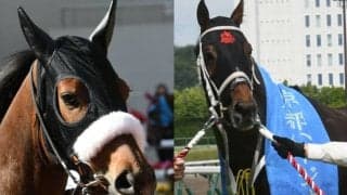 【先週のJRA抹消馬】重賞4勝の10歳馬タガノエスプレッソ、牝馬路線で活躍のマジックキャッスルなど