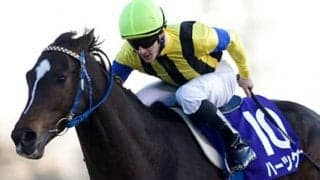 アイルランドでハーツクライ産駒が初勝利 名門A.オブライエン厩舎の2歳馬