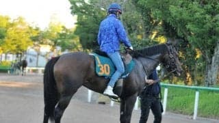 母は三冠牝馬アパパネ　蛯名厩舎が送り出す良血馬アスパルディーコ/関東馬メイクデビュー情報