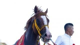 控える競馬で結果を出したジャックドール　単なる勝利以上に収穫のあった札幌記念