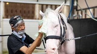 ソダシが『白い恋人』のパッケージに！ 「ノーザンホースパーク×白い恋人パーク」コラボイベントが9月11日に開催