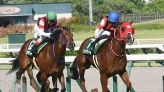 【キーンランドC想定騎手】ウインマーベルは松山弘平騎手、ジュビリーヘッドは横山和生騎手