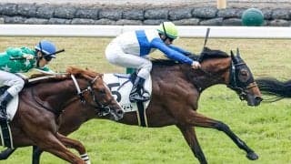 【新潟2歳S想定騎手】ロードディフィートは田辺裕信騎手、アイスグリーンは坂井瑠星騎手