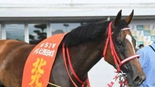 ロードカナロア産駒は2年連続の北九州記念連対、二桁人気ボンボヤージが大駆け