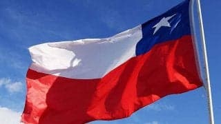 試合中継に映った犬が実は“迷子”だった！無事に保護され飼い主のもとへ「しっぽで気が付きました」