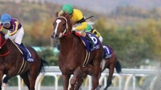  【川崎・スパーキングサマーC枠順確定】岩手所属のヴァケーションは7枠11番、昨年の東京ダービー覇者アランバローズは4枠6番