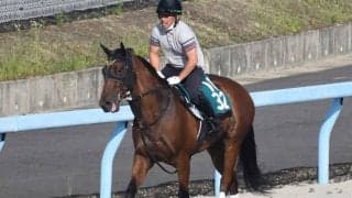 ダノンタッチダウンなど、先週のゲート試験/栗東トレセンニュース