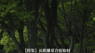 【特集】長距離夏合宿取材