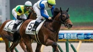 【新潟2歳S予想オッズ】ロードディフィートが予想1番人気