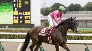 【小倉サマージャンプ予想オッズ】アサクサゲンキが予想1番人気