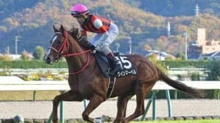 【キーンランドC予想オッズ】連勝中ウインマーベルが予想1番人気