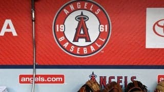 【MLB】エンゼルス買うなら誰？　本拠移転はあるのか　地元紙回答…売却巡る“6つの疑問”