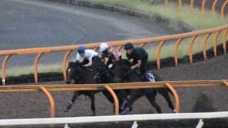 ドウデュース、凱旋門賞国内最終追い切り速報/栗東トレセンニュース