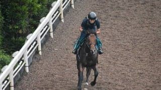 3億円馬オープンファイアが中京芝2000mで初陣 ディープインパクト産駒最終世代がついに始動