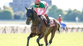 【次走】日本ダービー5着プラダリアは神戸新聞杯へ 大目標は牡馬クラシック最終戦・菊花賞