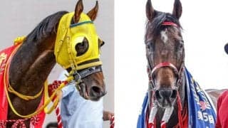 【新潟記念想定】エヒト、カラテ、フェーングロッテンなど重賞ウィナー多数参戦