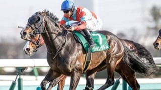 【次走】ジャンダルムはスプリンターズSを目標に 名牝ビリーヴの子が短距離GI親子制覇を目指す