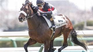 アンティシペイトは福島記念へ 札幌記念はソダシやグローリーヴェイズに次ぐ7着