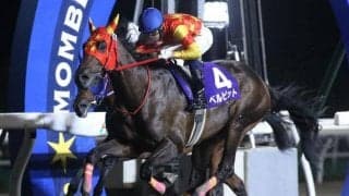 【門別・サッポロクラシックC結果】ベルピットが無傷4連勝で重賞連勝、角川秀樹厩舎の上位独占