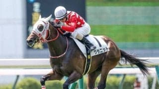 【新潟2歳S 予想】AIの注目馬は波乱を演出できるか？ レースの傾向からも魅力十分！