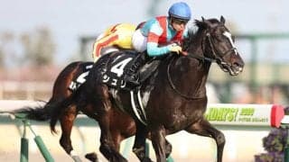 【次走】関屋記念2着シュリは京成杯AHへ 12番人気を覆す好走見せた素質馬が重賞狙う