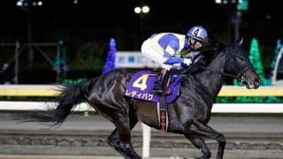 【佐賀・サマーチャンピオン注目馬】文字通り“夏の王者”を決めるダートグレード競走