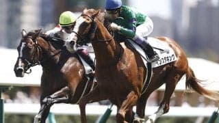 【次走】インスタキングは放牧へ 武豊騎手×蛯名正義厩舎コンビ初の新馬勝ち
