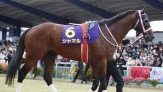 【佐賀・サマーチャンピオン 13時時点オッズ】シャマルが単勝2.8倍の1番人気、コンバスチョンが2.9倍で続く