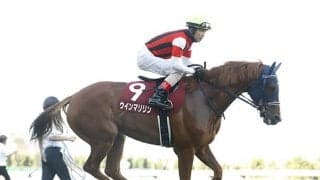 【次走】札幌記念3着のウインマリリンはエリザベス女王杯へ GII・3勝馬が悲願のGI制覇狙う