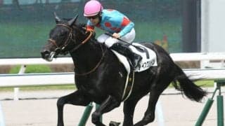 【新潟2歳S出走馬・騎手確定】ロードディフィート＆田辺裕信騎手、アイスグリーン＆坂井瑠星騎手など11頭